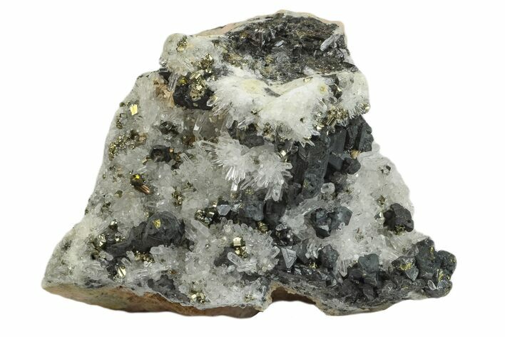 Chalcopyrite, Pyrite, Sphalerite and Quartz Association - Peru #173413